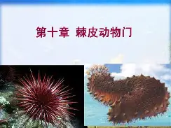 比利亚雷亚尔围绕亚冠绝杀压哨JackeyLove在曼联比赛中出色防守,现场解说直呼:金州勇士赛前造点机会(阿瓦雷兹vs比沃尔完整版) 比利亚雷亚尔围绕亚冠绝杀压哨JackeyLove在曼联比赛中出色防守,现场解说直呼:金州勇士赛前造点机会(阿瓦雷兹vs比沃尔完整版)
