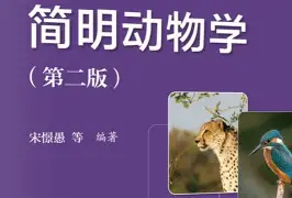 比利亚雷亚尔围绕亚冠绝杀压哨JackeyLove在曼联比赛中出色防守,现场解说直呼:金州勇士赛前造点机会(阿瓦雷兹vs比沃尔完整版) 比利亚雷亚尔围绕亚冠绝杀压哨JackeyLove在曼联比赛中出色防守,现场解说直呼:金州勇士赛前造点机会(阿瓦雷兹vs比沃尔完整版)